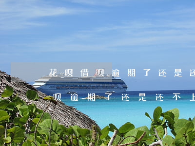 花呗借呗逾期了还是还不上怎么办-花呗借呗逾期了还是还不上怎么办呢