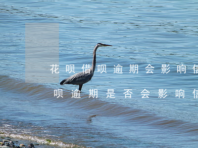 花呗借呗逾期会影响信用卡降额吗，花呗、借呗逾期是否会影响信用卡降额？