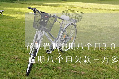 花呗借呗逾期八个月30000-花呗借呗逾期八个月欠款三万多说要上门是真的吗