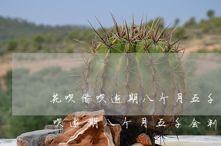 花呗借呗逾期八个月五千会判刑吗-花呗借呗逾期八个月五千会判刑吗知乎