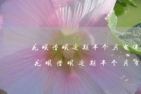花呗借呗逾期半个月有律师函催收流程吗?-花呗借呗逾期半个月有律师函催收流程吗是真的吗