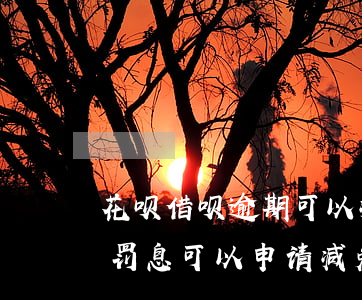 花呗借呗逾期可以减免罚息(支付宝借呗逾期罚息可以申请减免吗?)