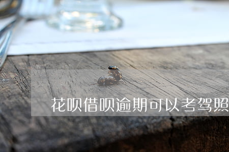 花呗借呗逾期可以考驾照吗