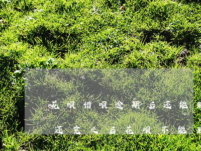 花呗借呗逾期后还能用吗(为什么借呗逾期了还完之后花呗不能用了)