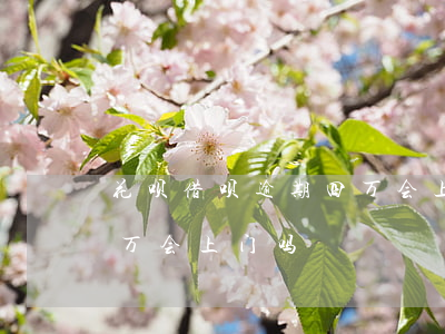 花呗借呗逾期四万会上门吗(花呗借呗逾期四万会上门吗)