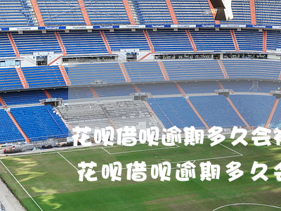 花呗借呗逾期多久会被执行支付令-支付宝花呗借呗逾期多久会冻结财产