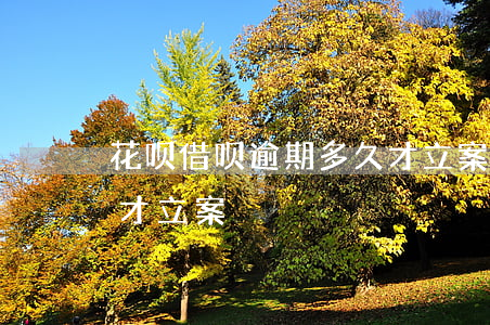 花呗借呗逾期多久才立案(花呗借呗逾期多久才立案)