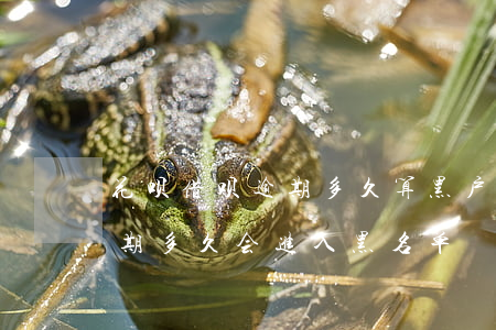 花呗借呗逾期多久算黑户(支付宝借呗花呗逾期多久会进入黑名单)