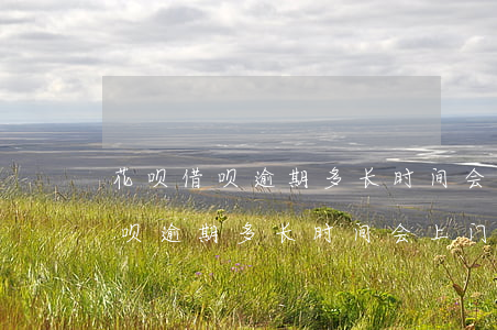 花呗借呗逾期多长时间会上门催款-花呗借呗逾期多长时间会上门催款呢