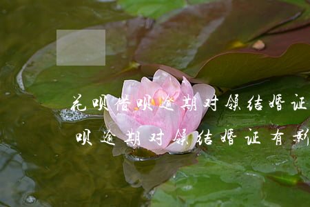花呗借呗逾期对领结婚证有影响吗-花呗借呗逾期对领结婚证有影响吗知乎
