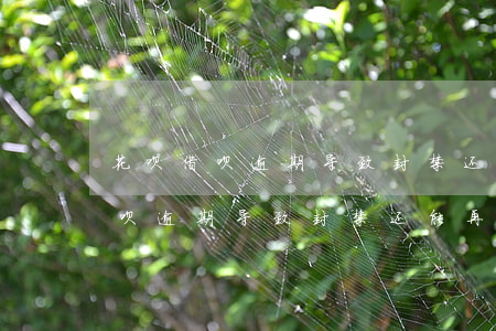 花呗借呗逾期导致封禁还能再开吗-花呗借呗逾期导致封禁还能再开吗安全吗