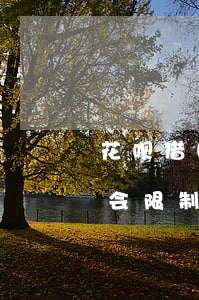 花呗借呗逾期影响坐高铁嘛(支付宝借呗逾期会限制坐高铁吗)