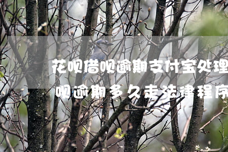 花呗借呗逾期支付宝处理流程(支付宝花呗借呗逾期多久走法律程序)