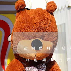 花呗借呗逾期无力还款2年怎么办-花呗借呗逾期无力还款2年怎么办呢