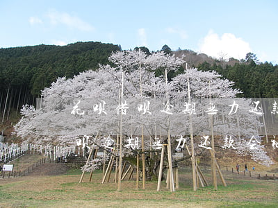 花呗借呗逾期无力还款会被没收吗-花呗借呗逾期无力还款会被没收吗知乎