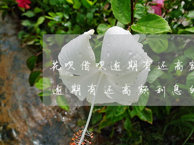 花呗借呗逾期有还高额利息的嘛-花呗借呗逾期有还高额利息的嘛怎么办