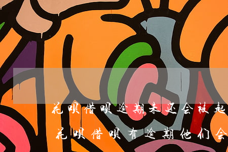 花呗借呗逾期未还会被起诉吗-支付宝里的花呗借呗有逾期,他们会不会起诉到法院