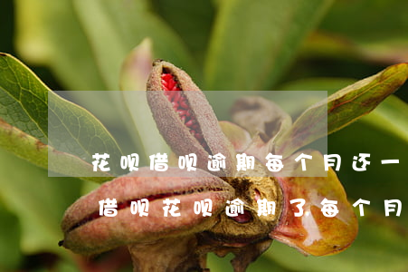 花呗借呗逾期每个月还一点还会爆通讯录-借呗花呗逾期了每个月都有还款,会上门吗