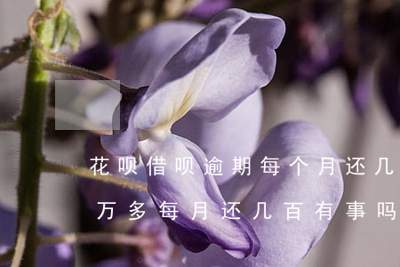 花呗借呗逾期每个月还几百(花呗借呗逾期两万多每月还几百有事吗)