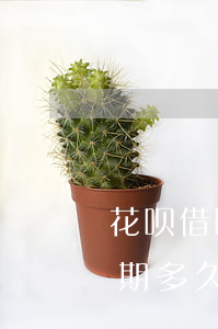 花呗借呗逾期法院起诉会被拘留吗-花呗逾期多久会被起诉?花呗逾期被起诉