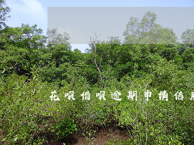 花呗借呗逾期申请信用卡可以吗