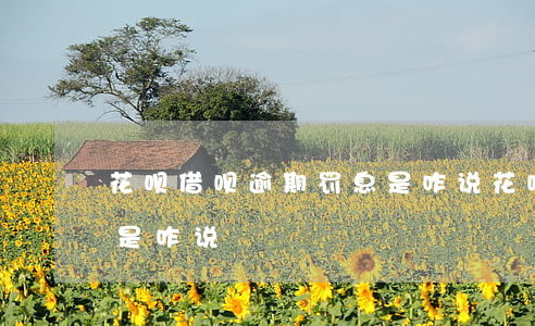 花呗借呗逾期罚息是咋说(花呗借呗逾期罚息是咋说)