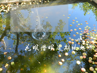 花呗借呗逾期被起诉法院会怎么判