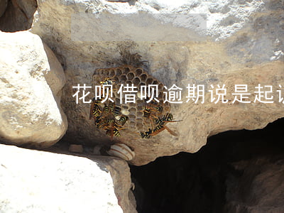 花呗借呗逾期说是起诉我