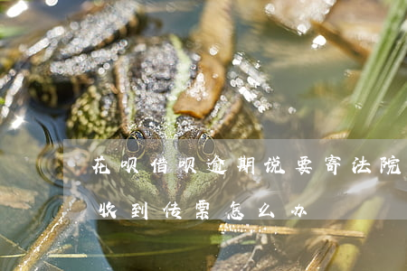 花呗借呗逾期说要寄法院传票过来(借呗逾期收到传票怎么办)