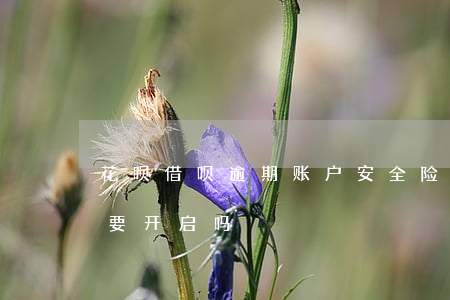 花呗借呗逾期账户安全险(花呗账户安全险需要开启吗)