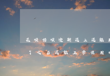 花呗借呗逾期还上还能用吗(花呗借呗逾期还了之后还能正常使用吗)