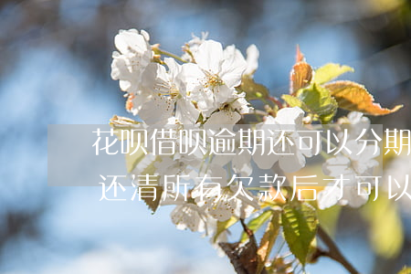 花呗借呗逾期还可以分期吗(花呗逾期必须要还清所有欠款后才可以分期吗)