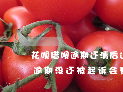 花呗借呗逾期还清后还会被起诉吗(花呗借呗逾期没还被起诉会有什么后果)