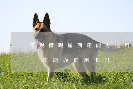 花呗借呗逾期还能办信用卡吗（蚂蚁借呗逾期一年能办信用卡吗）