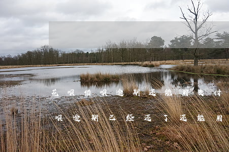 花呗借呗逾期还能用支付宝付款吗(支付宝花呗逾期已经还了还能用花呗吗)