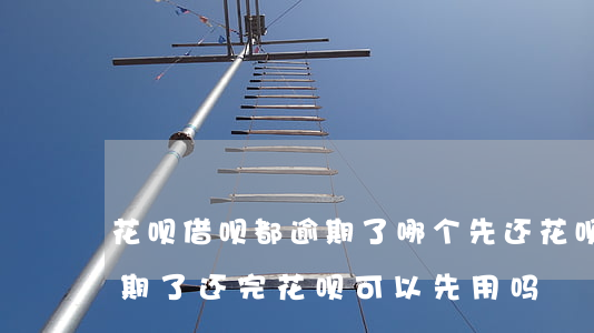花呗借呗都逾期了哪个先还(花呗和借呗都逾期了,还完花呗可以先用吗?)