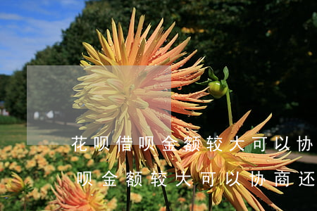 花呗借呗金额较大可以协商还款吗-花呗借呗金额较大可以协商还款吗