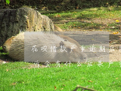 花呗借款严重逾期后果(支付宝花呗逾期被起诉会有什么后果严重)
