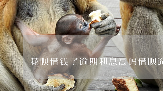 花呗借钱了逾期利息高吗(借呗逾期费很高)
