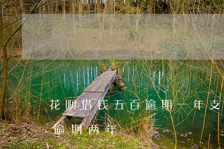 花呗借钱五百逾期一年(支付宝借呗5000逾期两年)