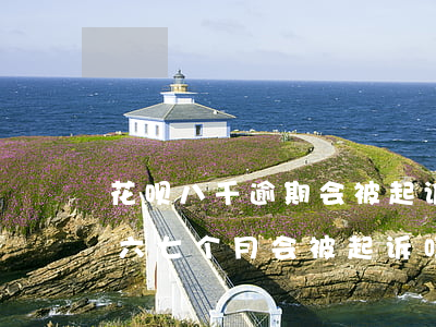 花呗八千逾期会被起诉吗(欠花呗几千元,逾期六七个月会被起诉吗)