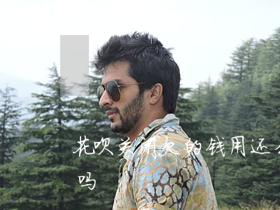 花呗关闭欠的钱用还么(花呗钱还了可以关闭吗)