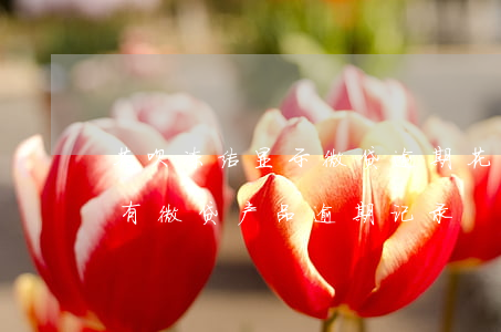 花呗冻结显示微贷逾期(花呗无法正常使用,你有微贷产品逾期记录)