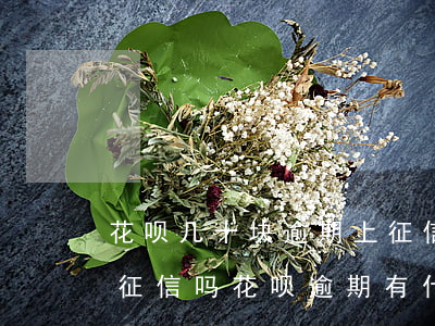花呗几十块逾期上征信吗(花呗逾期几个月上征信吗?花呗逾期有什么后果)