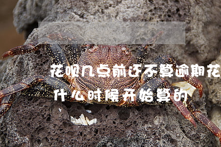 花呗几点前还不算逾期(花呗的逾期时间是从什么时候开始算的)