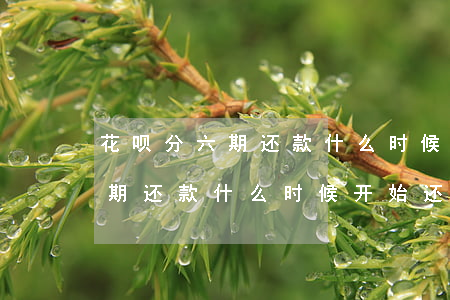 花呗分六期还款什么时候开始还-花呗分六期还款什么时候开始还的