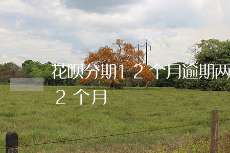 花呗分期12个月逾期(两千花呗分期付款12个月)