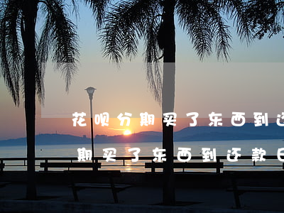 花呗分期买了东西到还款日怎么还-花呗分期买了东西到还款日怎么还款