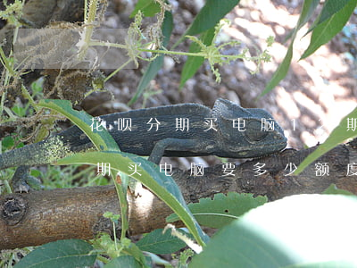 花呗分期买电脑12期免息靠谱吗-花呗分期买电脑要多少额度