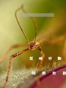 花呗分期付不算逾期吧(花呗逾期必须要还清所有欠款后才可以分期吗)
